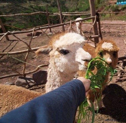 Peru Travel Photography Inspiration: Stunning Reader Images & Expert Tips