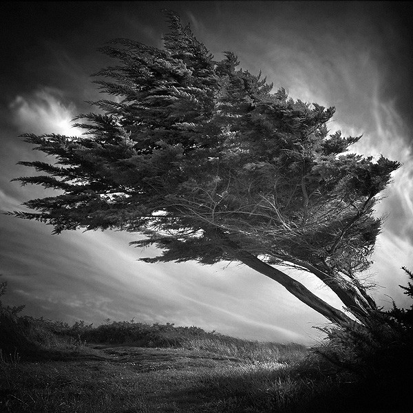 Spotlight on Bruno Mercier: De Lumière et de Vent – Stunning Black & White Normandy Seascapes