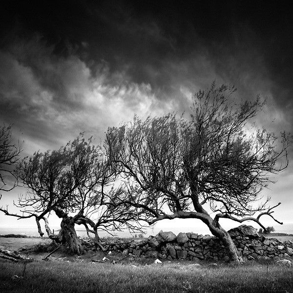 Spotlight on Bruno Mercier: De Lumière et de Vent – Stunning Black & White Normandy Seascapes