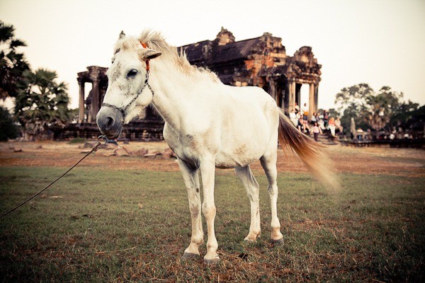 Cambodia Travel Photography: Stunning Reader Inspirations and Expert Tips