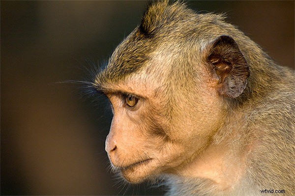 Cambodia Travel Photography: Stunning Reader Inspirations and Expert Tips