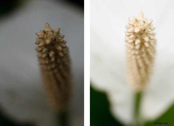 Why Your Camera s Meter Gets Exposure Wrong: Pro Tips for Perfect Shots