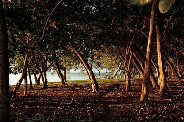 Master Natural Light: 5 Essential Tips Every Photographer Should Practice