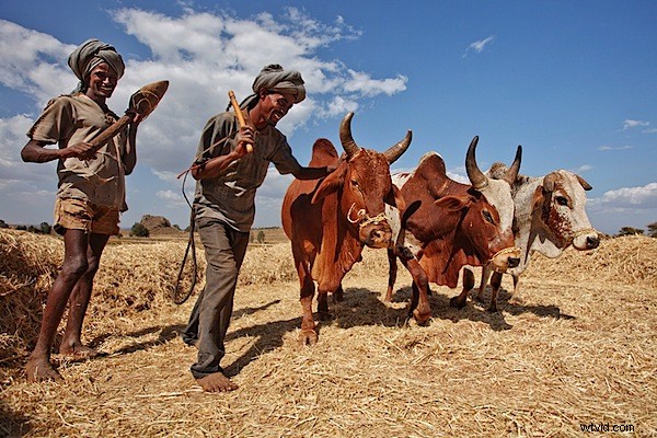 Master Natural Light: 5 Essential Tips Every Photographer Should Practice