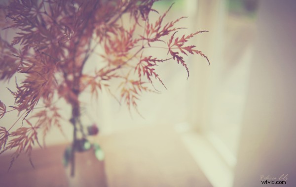 Film vs. Digital Photography: A Pro Wedding Shooter s Honest Comparison