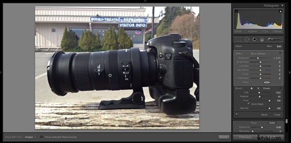 Master Burning and Dodging: Essential Techniques to Elevate Your Photos