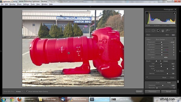 Master Burning and Dodging: Essential Techniques to Elevate Your Photos