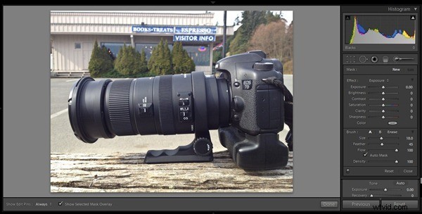 Master Burning and Dodging: Essential Techniques to Elevate Your Photos