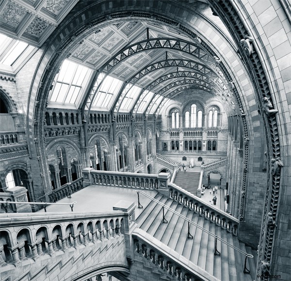 Professional Photographer s Editing Workflow: Expert Tips for Stunning Images