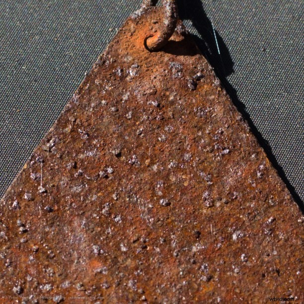 Side-by-Side High-Res Samples: Two 40+ Megapixel Cameras Compared