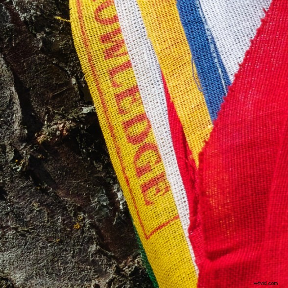 Side-by-Side High-Res Samples: Two 40+ Megapixel Cameras Compared