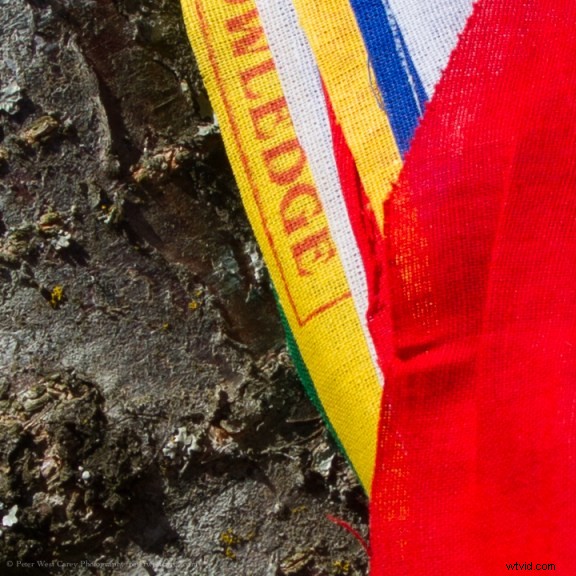 Side-by-Side High-Res Samples: Two 40+ Megapixel Cameras Compared