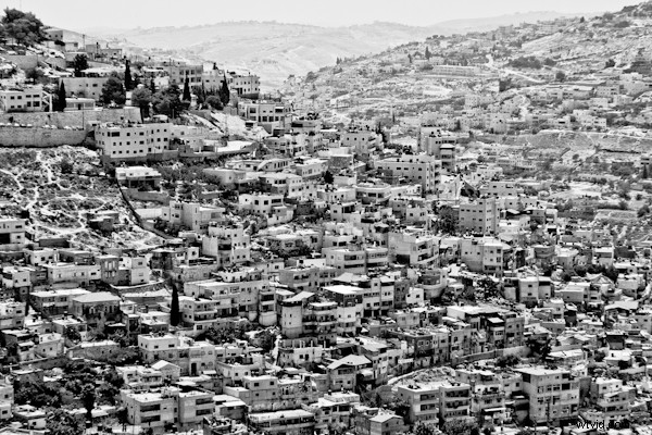 Spotlight on Victor Bezrukov: A Photographer s Journey in Self-Expression