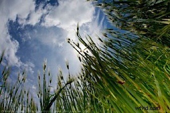 Master Stunning Landscape Photos: The Power of Low-Angle Perspectives