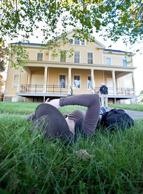 Master Stunning Landscape Photos: The Power of Low-Angle Perspectives