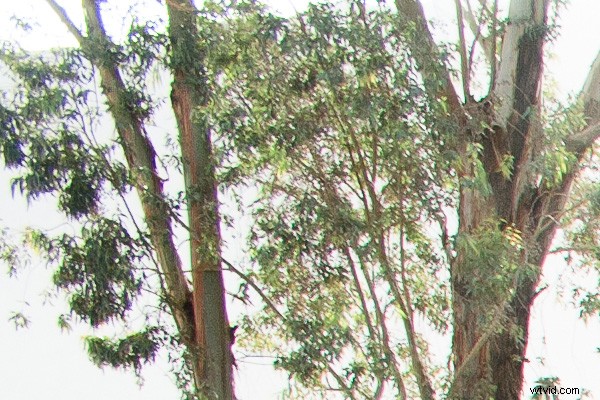 Why Lens Quality Matters Less Than You Think: The Surprising Truth for Photographers