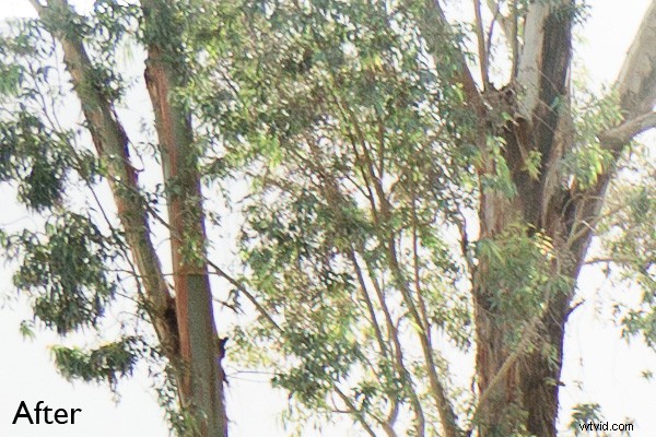 Why Lens Quality Matters Less Than You Think: The Surprising Truth for Photographers