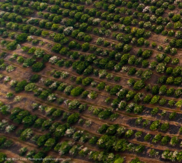 Nikon Nikkor 14-24mm f/2.8 Lens Review: Legendary Ultrawide Zoom for Landscapes