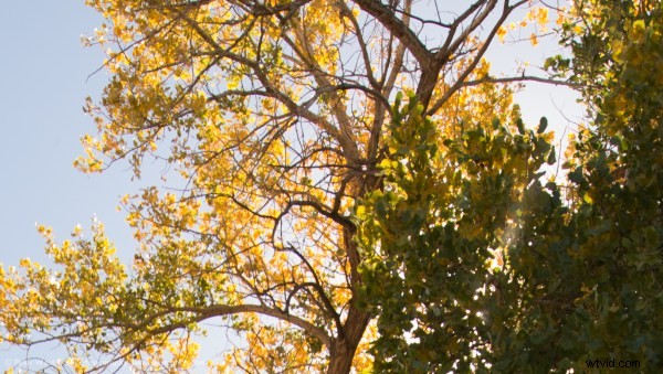 Nikon Nikkor 14-24mm f/2.8 Lens Review: Legendary Ultrawide Zoom for Landscapes