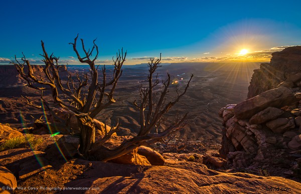 Nikon Nikkor 14-24mm f/2.8 Lens Review: Legendary Ultrawide Zoom for Landscapes