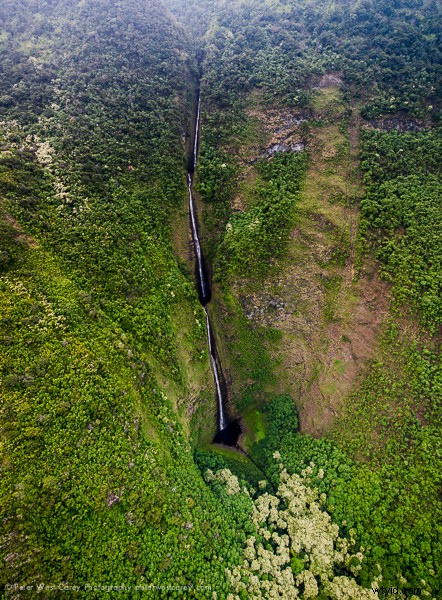 Nikon Nikkor 14-24mm f/2.8 Lens Review: Legendary Ultrawide Zoom for Landscapes