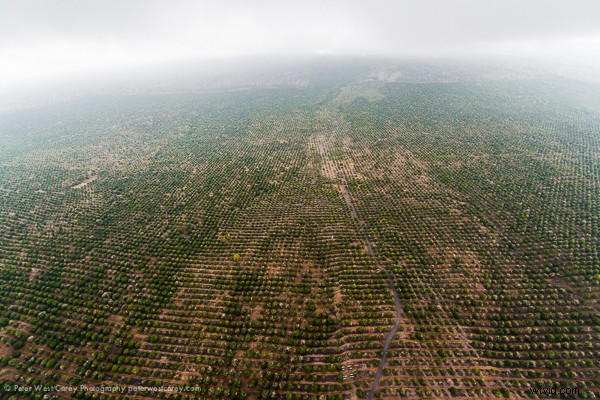 Nikon Nikkor 14-24mm f/2.8 Lens Review: Legendary Ultrawide Zoom for Landscapes