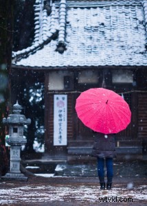 Master Lightroom Tone Curve: Creative Color Effects (Part 3/3)