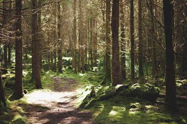 Embracing Authenticity: The Rising Trend in Photography