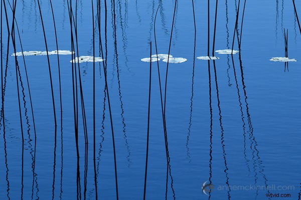 How to Capture Stunning Water Reflections: Expert Photography Tips