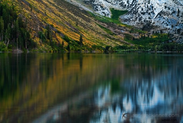 How to Capture Stunning Water Reflections: Expert Photography Tips