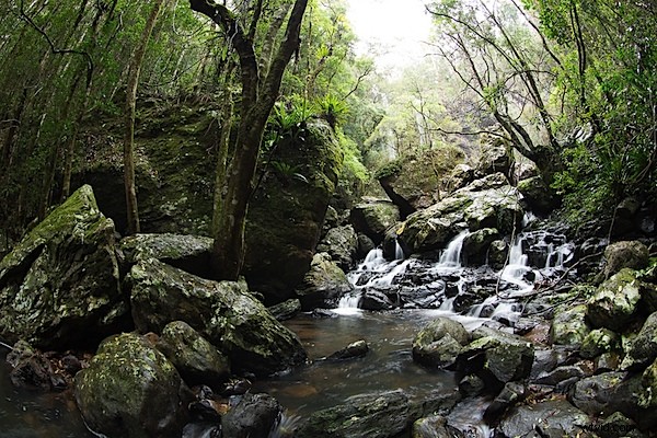 Batch Exposure Blending: Save Hours on HDR Processing for Photographers