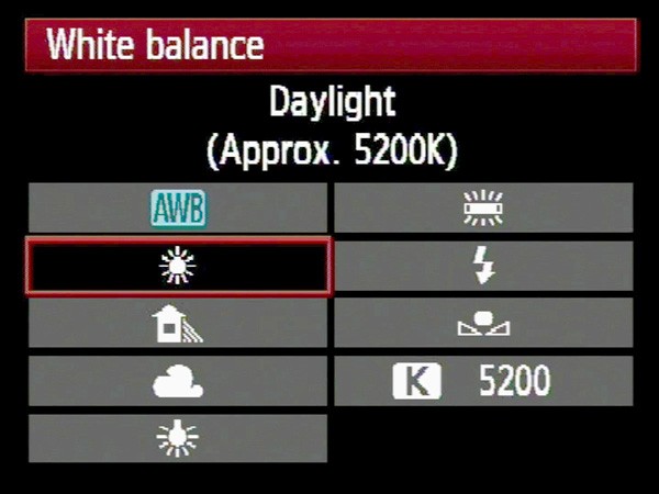 Master Creative White Balance: Pro Tips for Stunning Photography