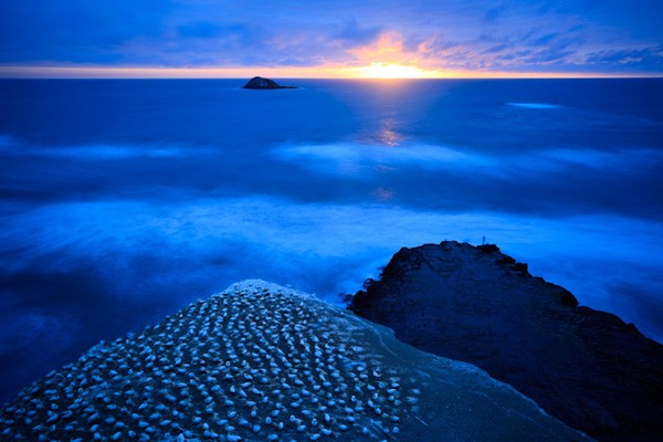 Master Creative White Balance: Pro Tips for Stunning Photography