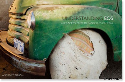 Master Creative White Balance: Pro Tips for Stunning Photography