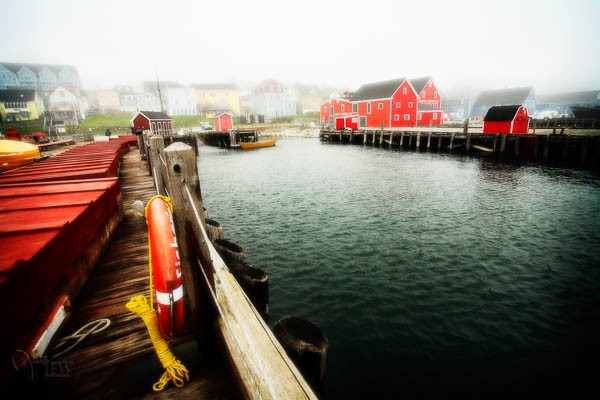 Meet Darlene Hildebrandt: Veteran Photographer and Digital Photography School Contributor