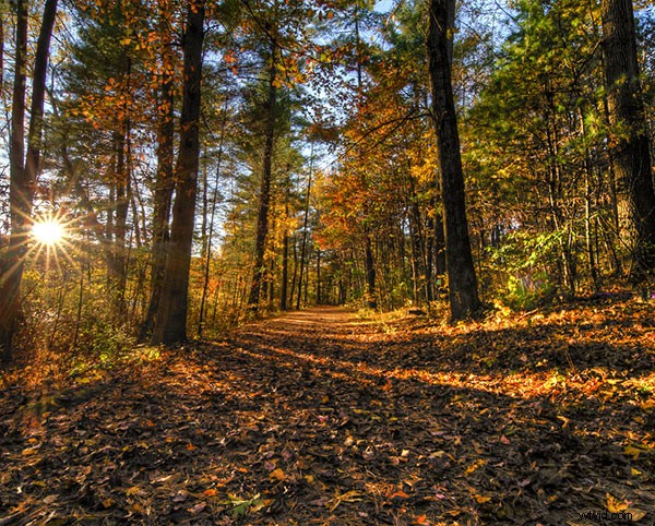 Master HDR Photography: 5 Proven Tips for Stunning Results