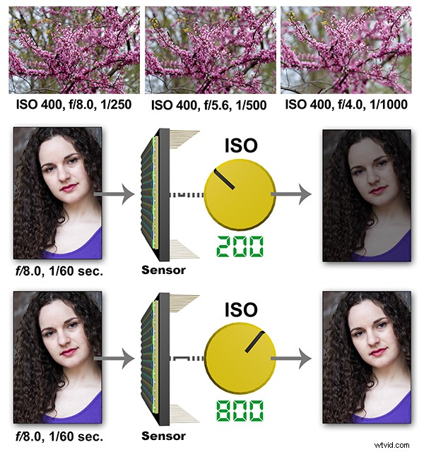 Master Photography: Ed Verosky s Proven Roadmap to Excellence