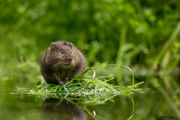 Ultimate Beginner s Guide to Mastering Your First DSLR Camera