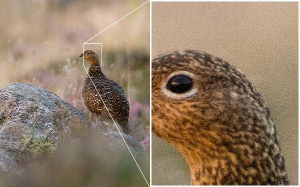 Ultimate Beginner s Guide to Mastering Your First DSLR Camera