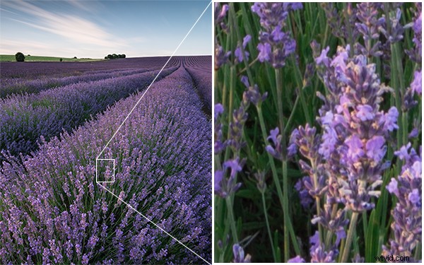 Ultimate Beginner s Guide to Mastering Your First DSLR Camera