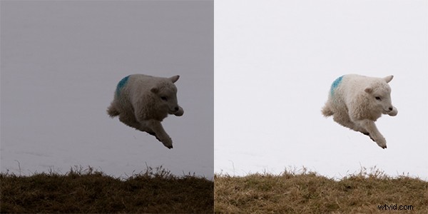 Ultimate Beginner s Guide to Mastering Your First DSLR Camera