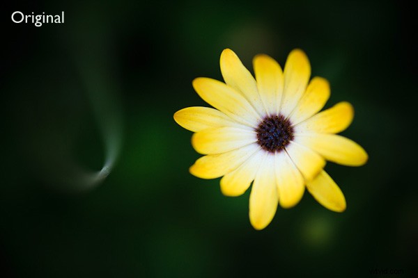 The Timeless Allure of Square Format Photography