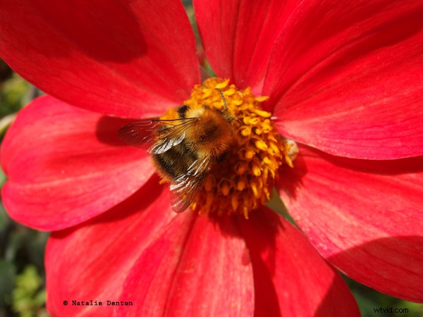 Complete Guide to Outdoor Photography: Part 2 – Mastering Shooting Modes