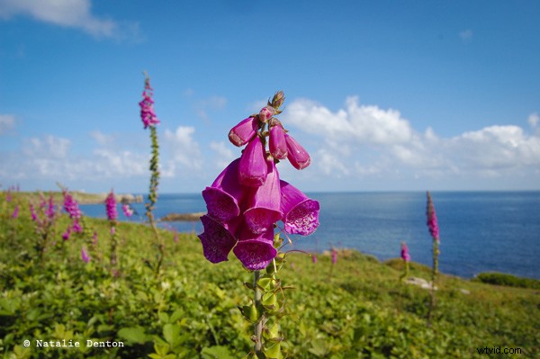 Complete Guide to Outdoor Photography: Part 2 – Mastering Shooting Modes