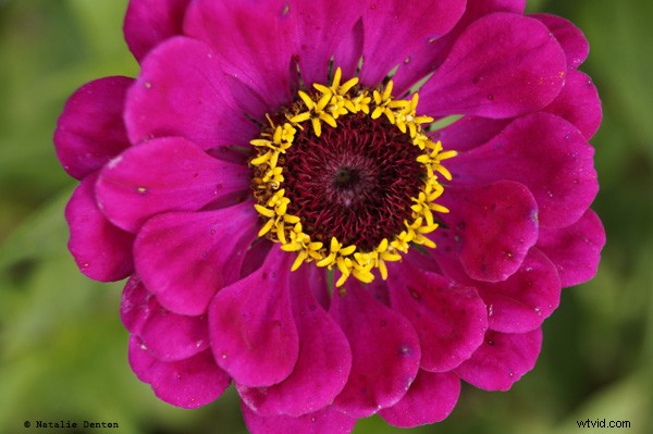 Complete Guide to Outdoor Photography: Part 2 – Mastering Shooting Modes