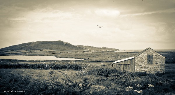 Complete Guide to Outdoor Photography: Part 2 – Mastering Shooting Modes