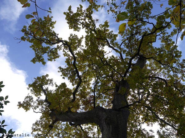 Complete Guide to Outdoor Photography: Part 2 – Mastering Shooting Modes