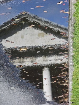 From Snapshots to Stunning Shots: A Beginner s Year of Photography Lessons