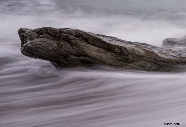 From Snapshots to Stunning Shots: A Beginner s Year of Photography Lessons