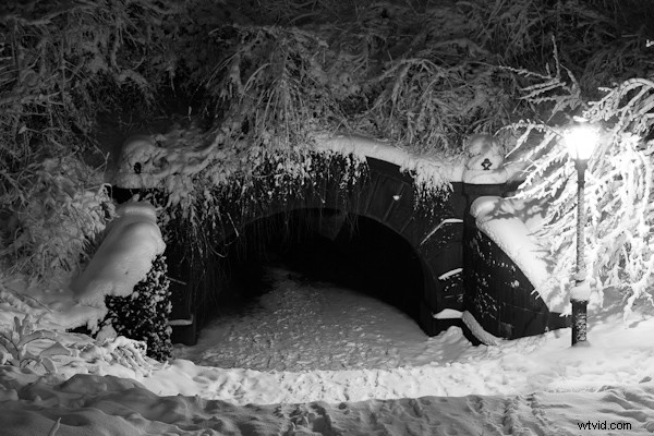 5 Expert Snow Photography Tips to Elevate Your Winter Scenes